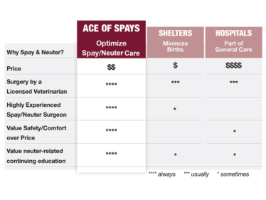 Dog Services – Ace of Spays